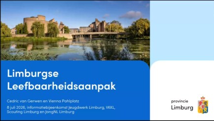 Leefbaarheidsaanpak Limburg: informatie over subsidiemogelijkheden